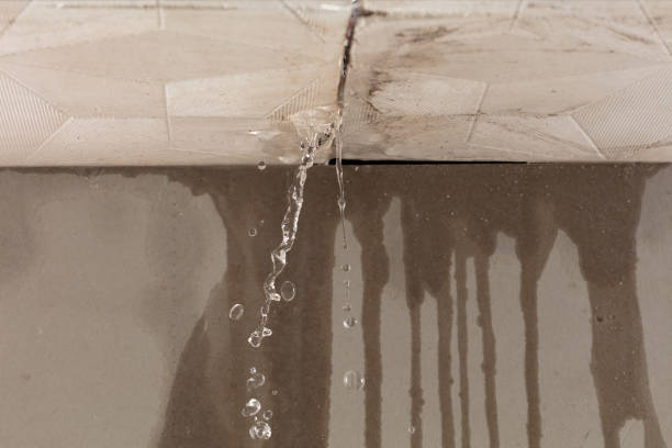 Professional Water Extraction technician working in Latham, MO